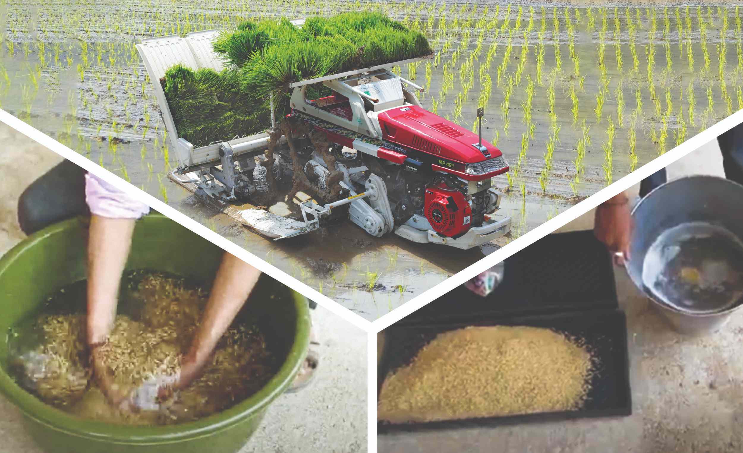 Rice transplanter machine