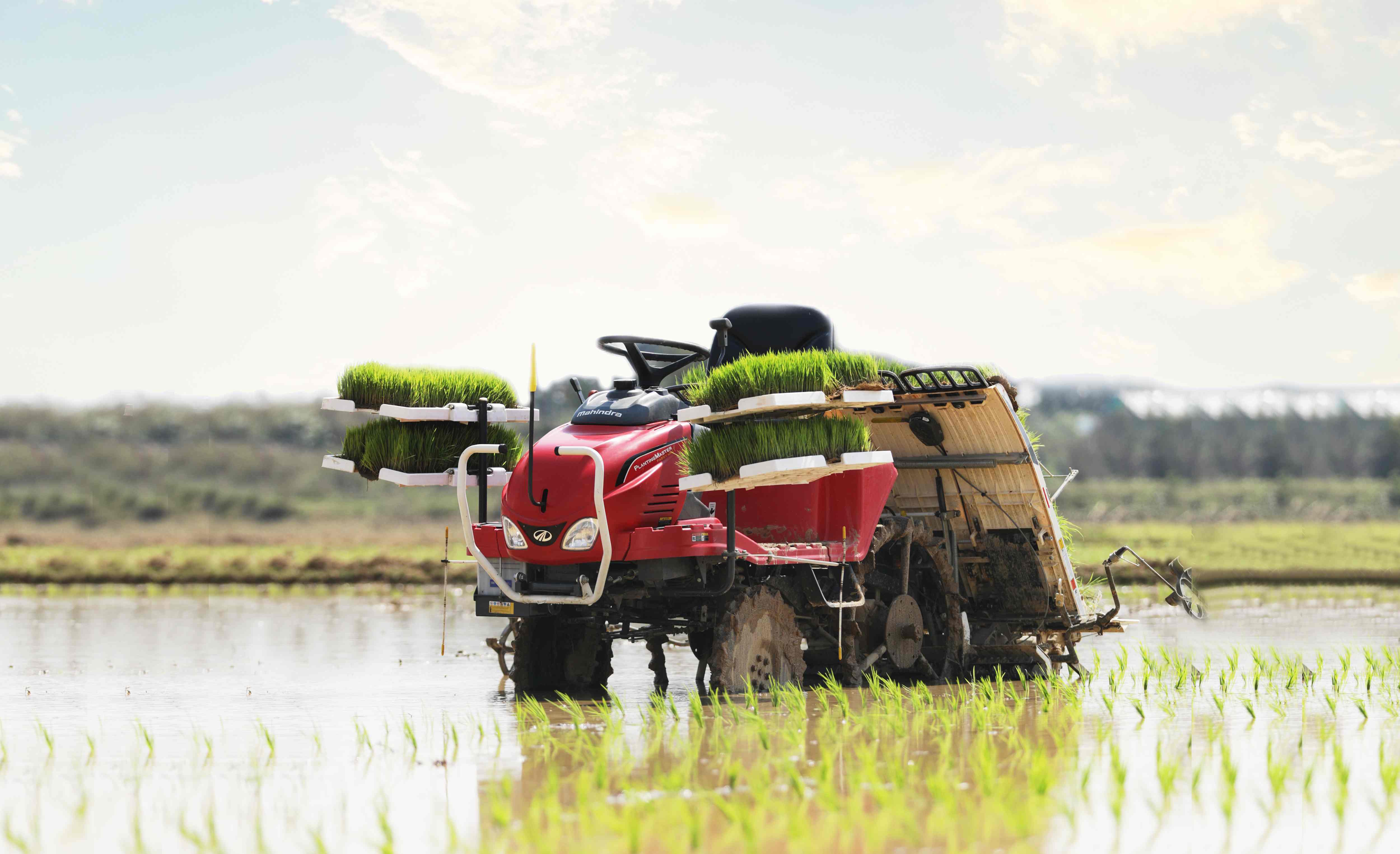 Rice Transplanter