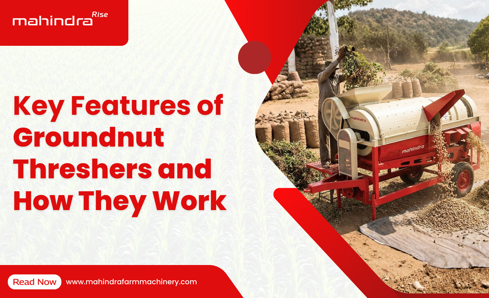 Key Features of Groundnut Threshers