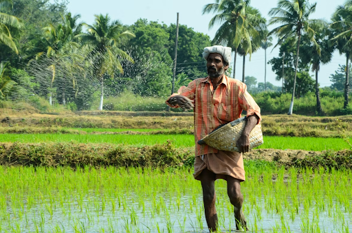 farmer sowing seeds