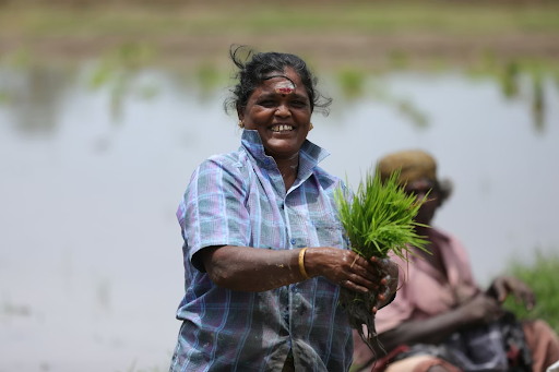 farmers farming crops