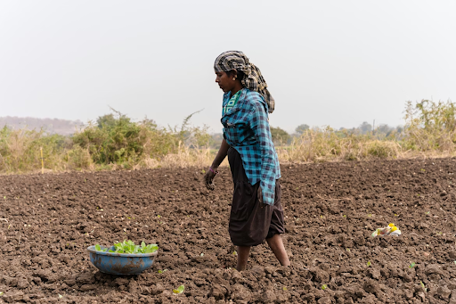 A woman in farm land