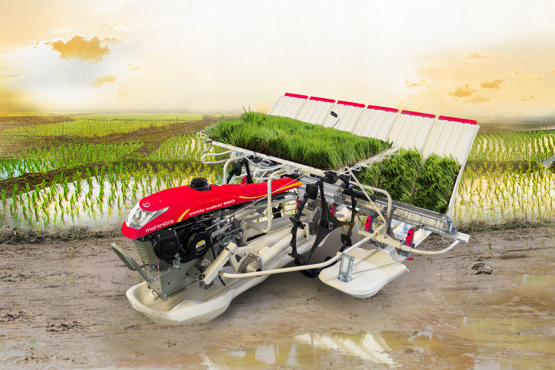 Mahindra Paddy Walker 6RO
